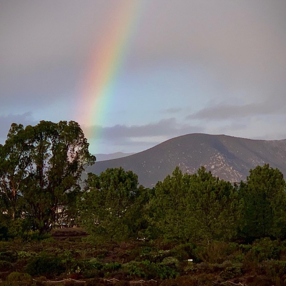 Meet your Posher, Nori - Picture 5 of 9